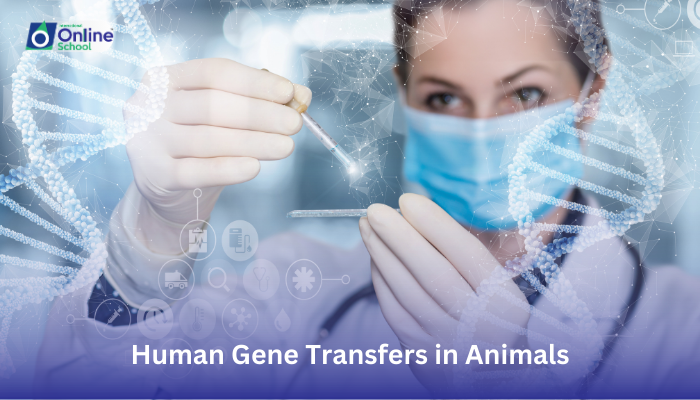 Lesson 26: Stating Human Gene Transfers in Animals